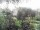 Webcam in Cuxhaven, 3.6 mi away