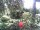 Webcam in Cuxhaven, 1.1 mi away