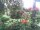 Webcam in Cuxhaven, 9 km entfernt