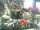 Webcam in Cuxhaven, 1.6 mi away