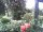 Webcam in Cuxhaven, 3.6 mi away