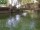 Webcam in Whitchurch, 50 km entfernt