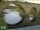 Webcam in Marnoch, 11 km entfernt