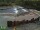 Webcam in Philliphaugh, 14.3 km entfernt