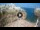 Webcam in Polignano a Mare, 12.6 mi away
