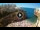 Webcam in Polignano a Mare, 12.7 mi away