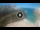 Webcam in Polignano a Mare, 58.9 km