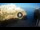 Webcam in Polignano a Mare, 7 mi away