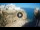 Webcam in Polignano a Mare, 24.4 mi away