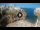 Webcam in Polignano a Mare, 31.2 mi away