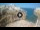 Webcam in Polignano a Mare, 12.4 km