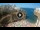 Webcam in Polignano a Mare, 29.6 km