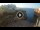 Webcam in Polignano a Mare, 6.9 mi away