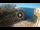 Webcam in Polignano a Mare, 13.2 mi away
