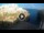 Webcam in Polignano a Mare, 12.7 mi away