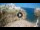 Webcam in Polignano a Mare, 72.7 km