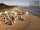 Webcam in Heringsdorf (Usedom), 19 km