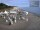 Webcam in Heringsdorf (Usedom), 1.8 km