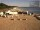 Webcam in Heringsdorf (Usedom), 19 km