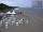 Webcam in Heringsdorf (Usedom), 19 km