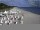 Webcam in Heringsdorf (Usedom), 2.5 mi away