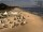 Webcam in Heringsdorf (Usedom), 19 km