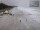 Webcam in Heringsdorf (Usedom), 1.8 km