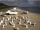 Webcam in Heringsdorf (Usedom), 19 km