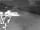 Webcam in Heringsdorf (Usedom), 1.1 mi away