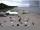 Webcam in Heringsdorf (Usedom), 0.4 km