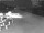 Webcam in Heringsdorf (Usedom), 19 km