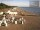 Webcam in Heringsdorf (Usedom), 7.2 mi away