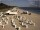 Webcam in Heringsdorf (Usedom), 0 mi away