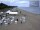 Webcam in Heringsdorf (Usedom), 0.4 km entfernt