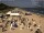 Webcam in Heringsdorf (Usedom), 19 km