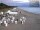 Webcam in Heringsdorf (Usedom), 19 km