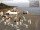 Webcam in Heringsdorf (Usedom), 19 km