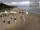 Webcam in Heringsdorf (Usedom), 0.1 km