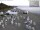 Webcam in Heringsdorf (Usedom), 0.2 mi away