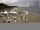 Webcam in Heringsdorf (Usedom), 2.2 km
