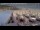 Webcam in De Koog (Texel), 10.6 mi away