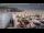 Webcam in De Koog (Texel), 6.8 km entfernt