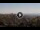 Webcam in Catanzaro, 24.4 mi away