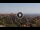 Webcam in Catanzaro, 9.4 mi away