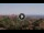 Webcam in Catanzaro, 19.8 mi away