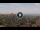Webcam in Catanzaro, 3.7 mi away