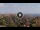 Webcam in Catanzaro, 32.2 km