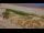 Webcam in De Panne, 2 km