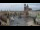Webcam in Krakau (Krakow), 0.8 km entfernt