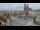 Webcam in Krakow, 26.6 mi away